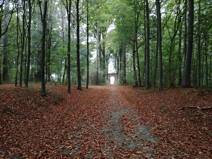 Gaasbeek + Castle of Gaasbeek (Lennik, Belgium)